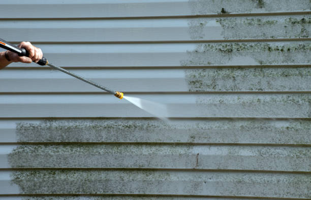 Solar Panel Cleaning in Palatka, FL